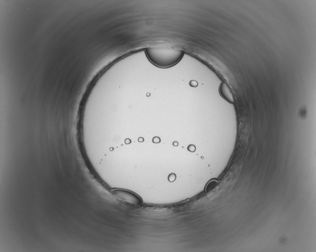 X0000116831135201001081432