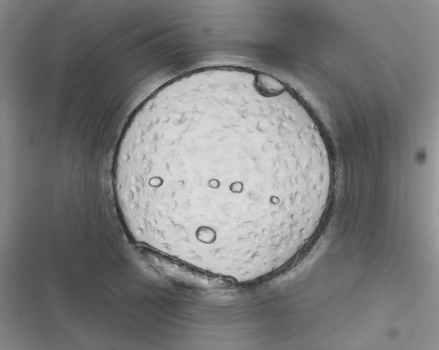 X0000116831137201001081432