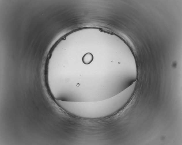 X0000116831138201001081432