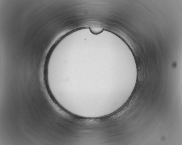 X0000116831139201001081432