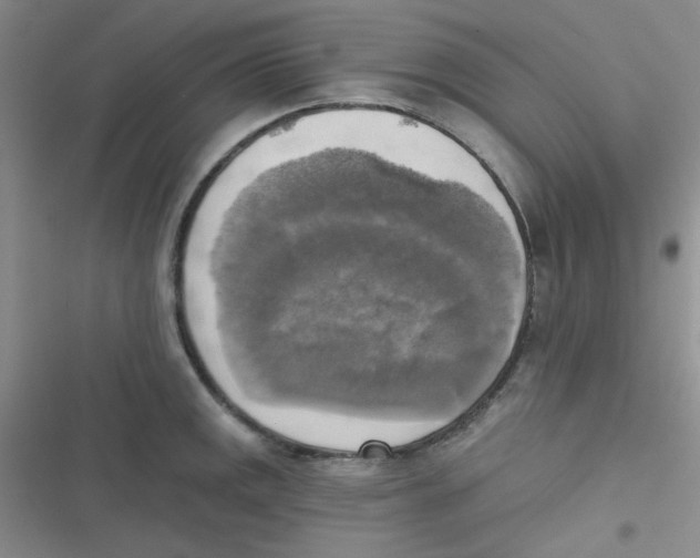 X0000116831141201001081432