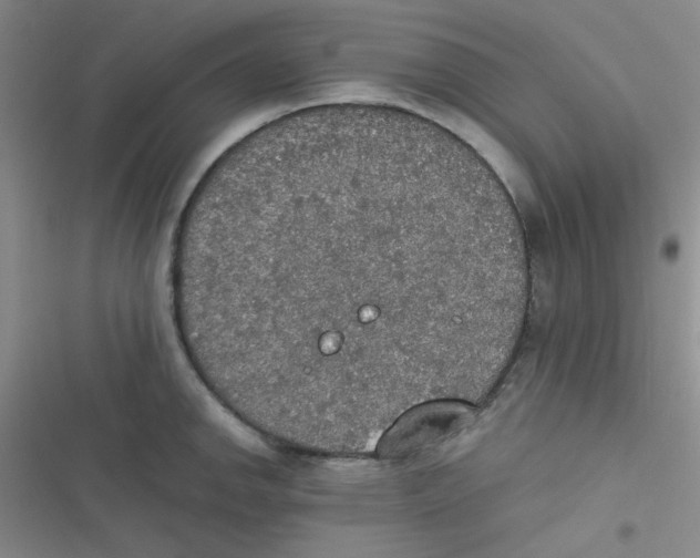 X0000116831142201001081432