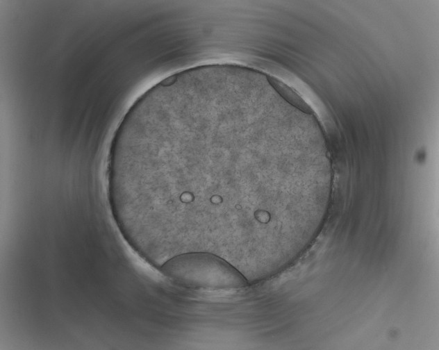 X0000116831143201001081432