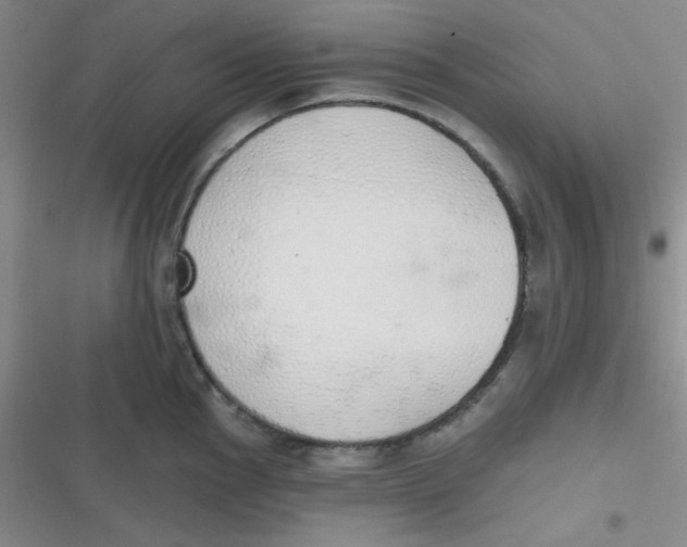 X0000116831145201001081432