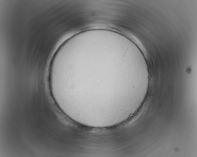 X0000116831146201001081432