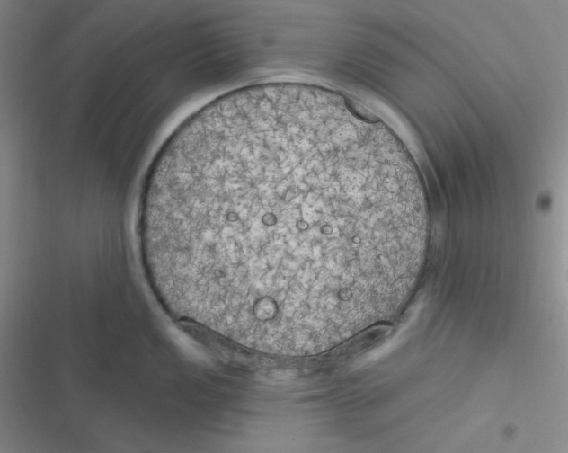 X0000116831149201001081432