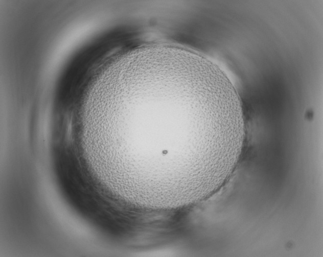 X0000116831150201001081432