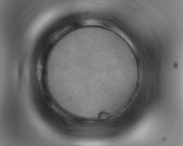 X0000116831151201001081432