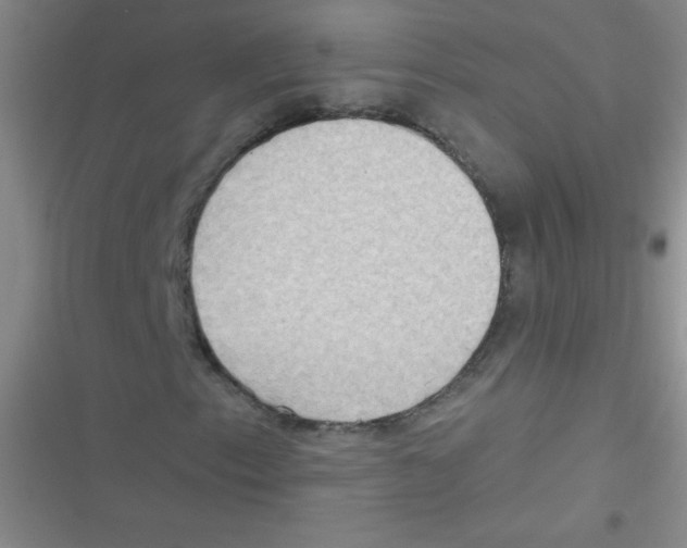 X0000116831153201001081432