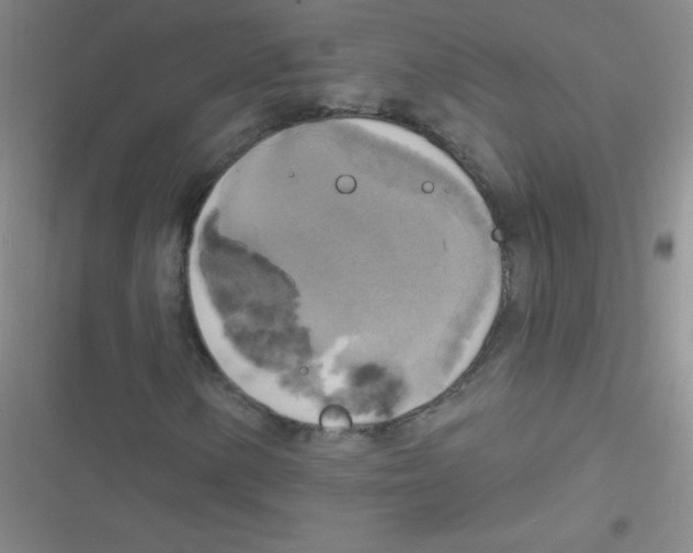 X0000116831154201001081432