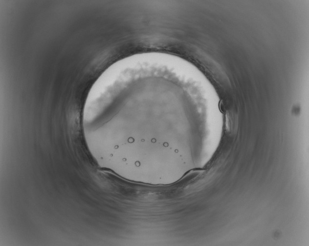 X0000116831155201001081432