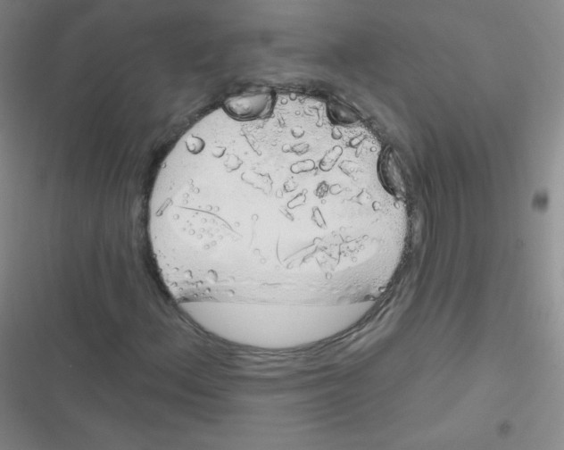 X0000116831156201001081432