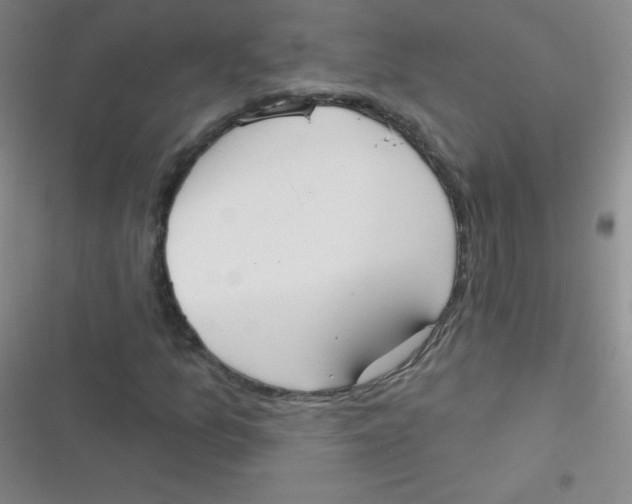 X0000116831157201001081432