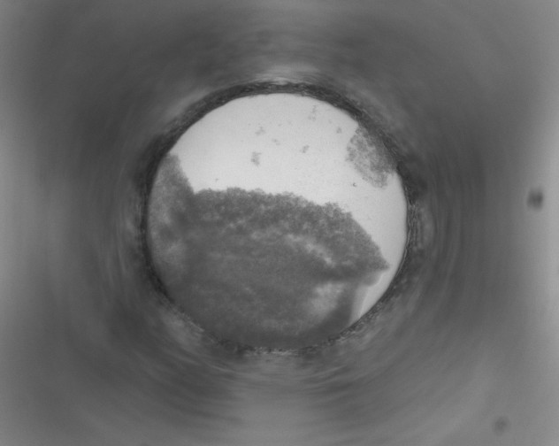 X0000116831158201001081432