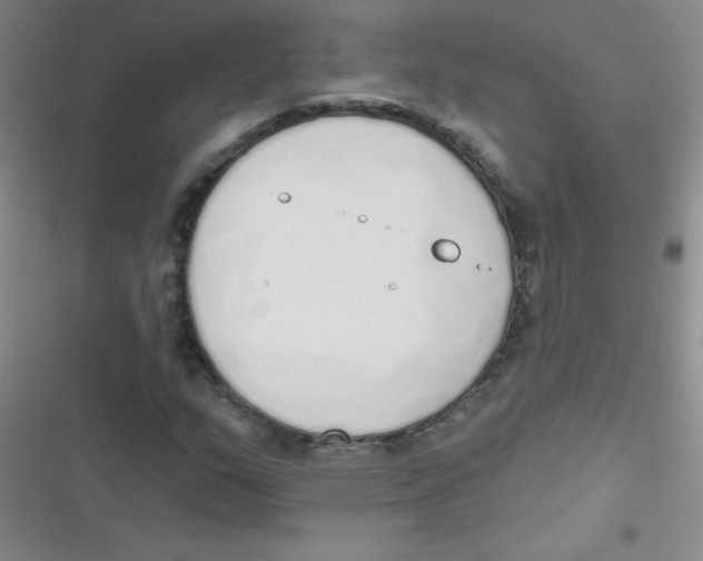 X0000116831159201001081432