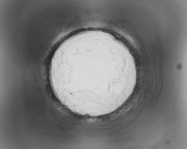 X0000116831160201001081432