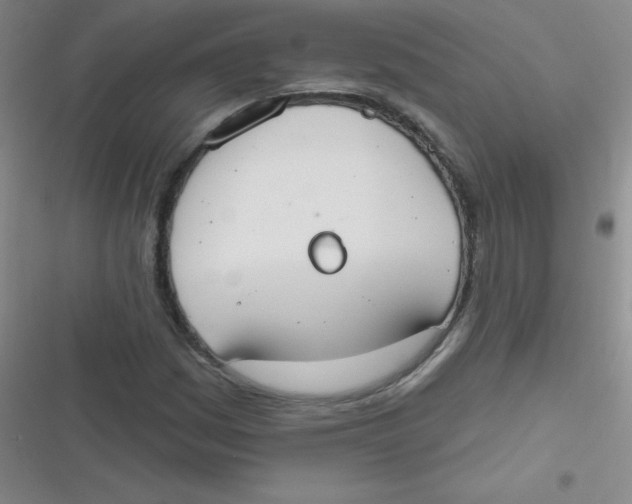 X0000116831161201001081432