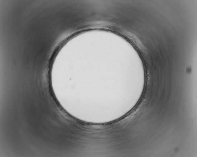 X0000116831164201001081431