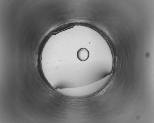 X0000116831165201001081431