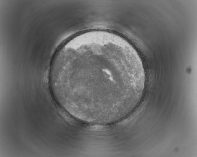 X0000116831166201001081431