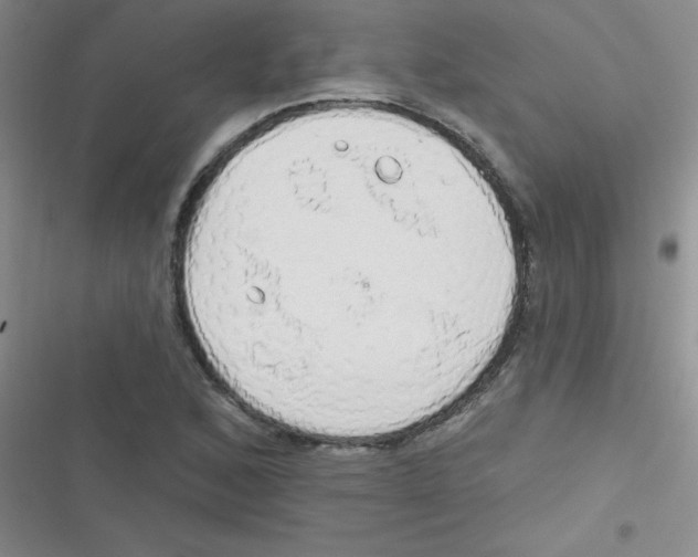 X0000116831168201001081431