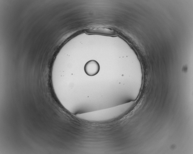 X0000116831169201001081431