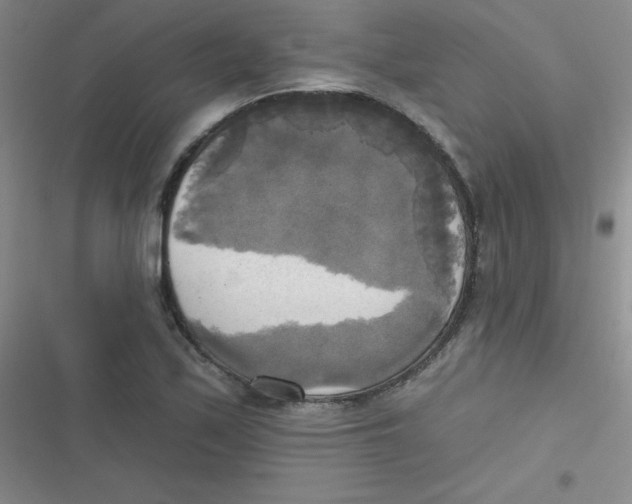 X0000116831171201001081431