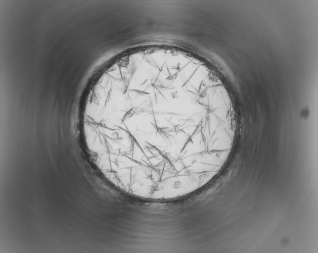 X0000116831172201001081431