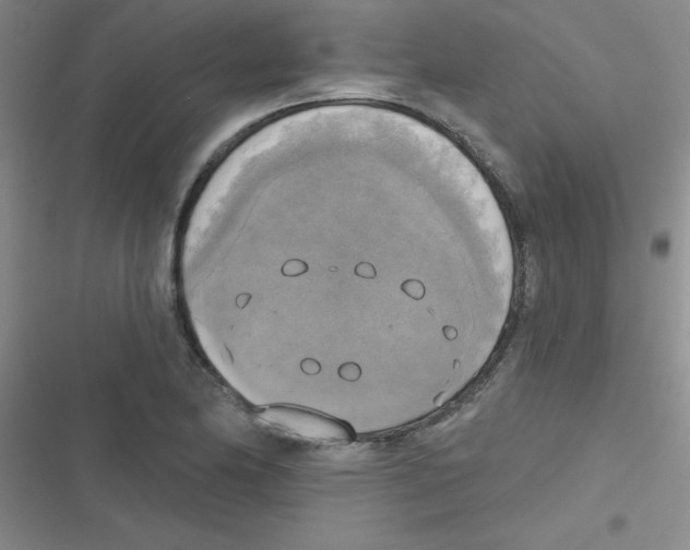 X0000116831174201001081431