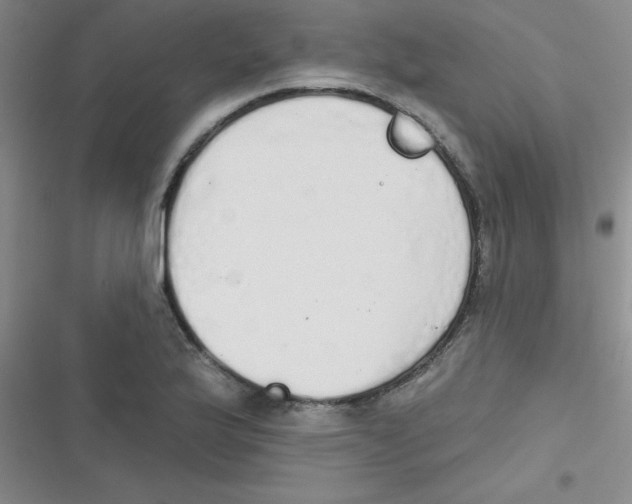 X0000116831175201001081431