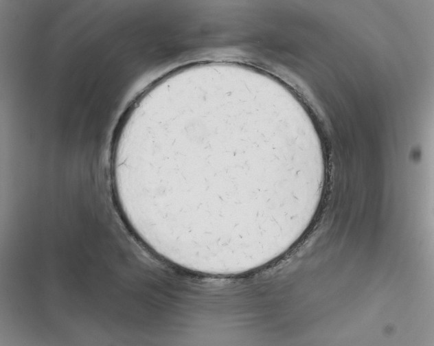 X0000116831176201001081431