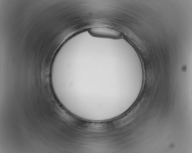 X0000116831177201001081431