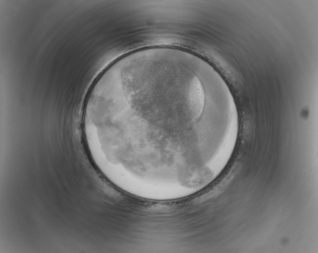 X0000116831178201001081431