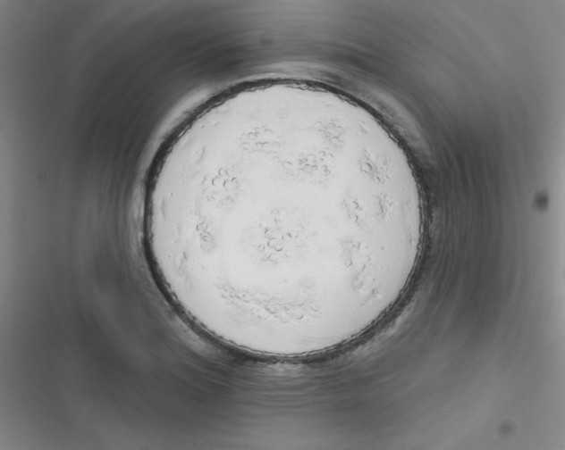 X0000116831180201001081431