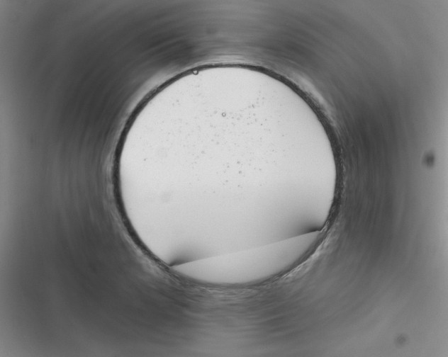 X0000116831181201001081431