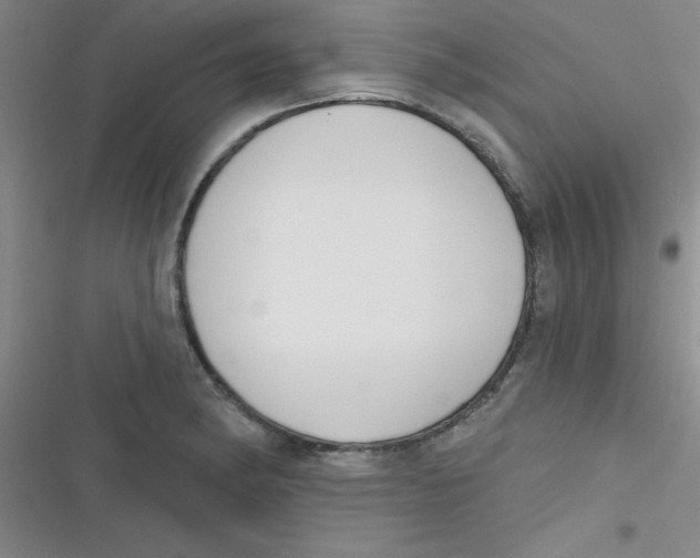 X0000116831182201001081431