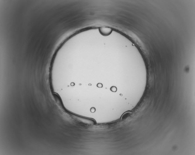 X0000116831183201001081431