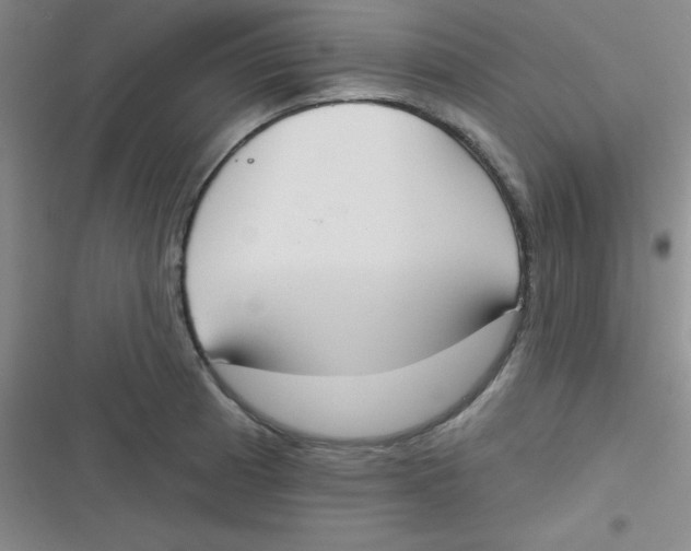 X0000116831185201001081431