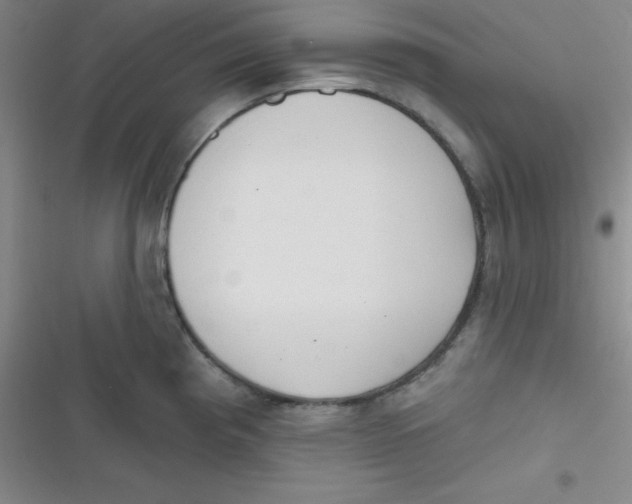 X0000116831193201001081431