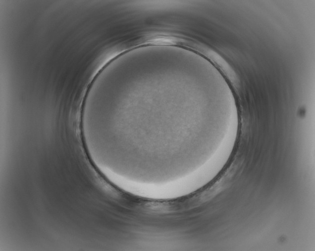 X0000116831194201001081431