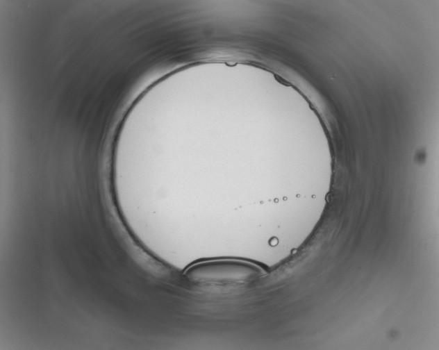 X0000116831195201001081431