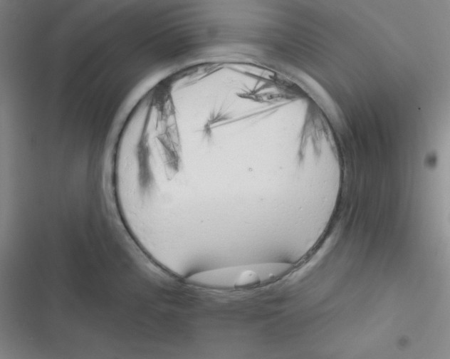 X0000116831196201001081431