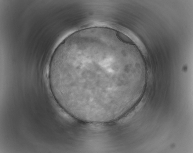 X0000116831198201001081431