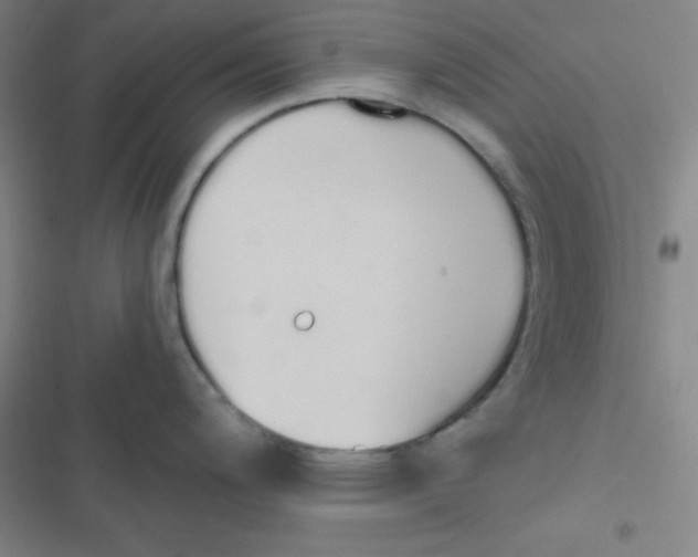 X0000116831200201001081431