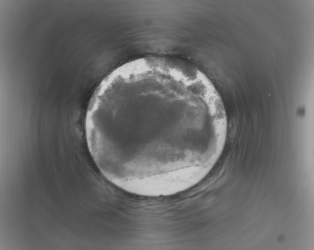 X0000116831202201001081430