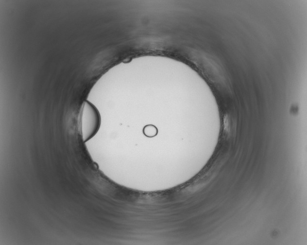 X0000116831203201001081430