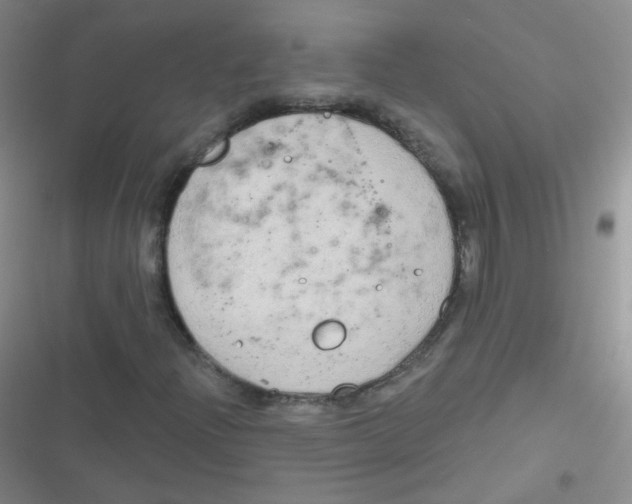 X0000116831204201001081430