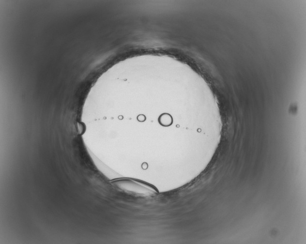 X0000116831205201001081430