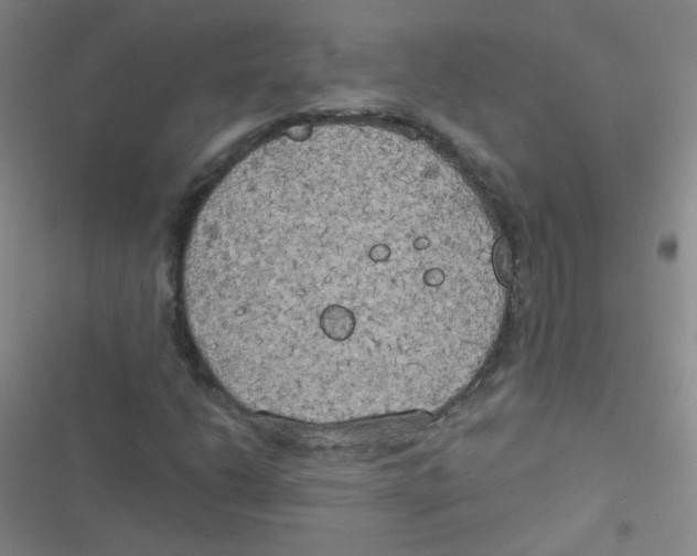 X0000116831206201001081430