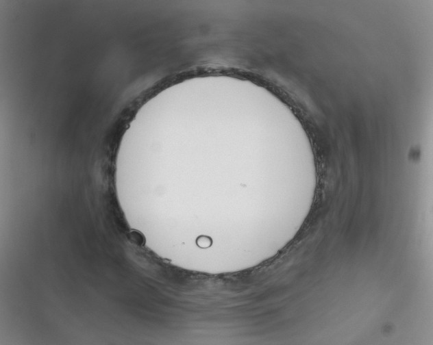 X0000116831207201001081430